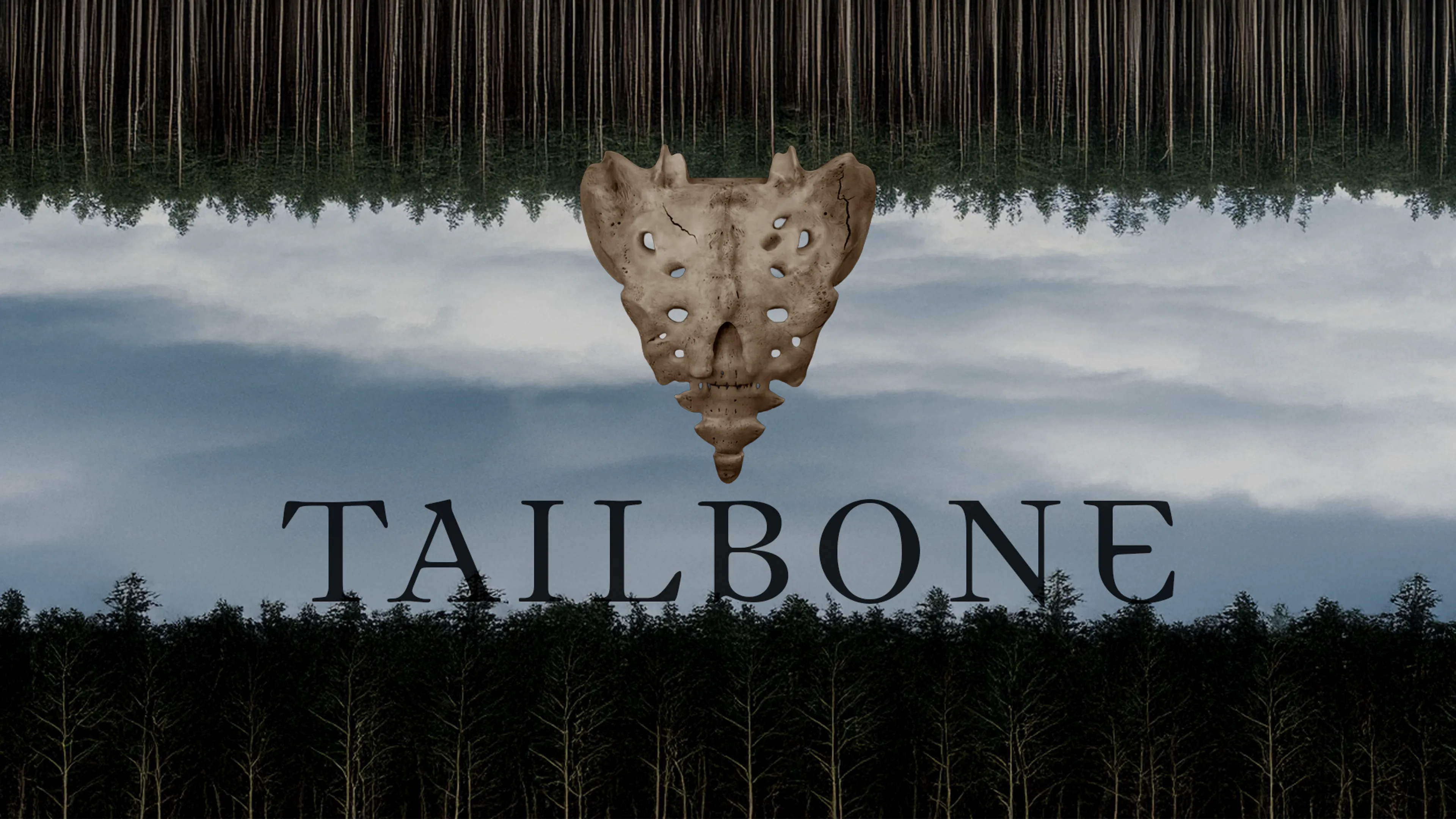 Tailbone poster